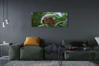 Obrazy na plátně Květ barevný motýl