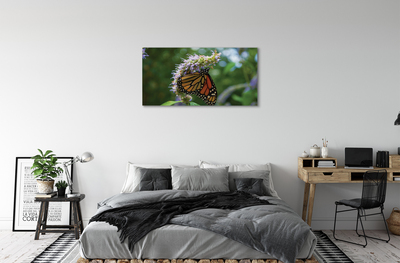 Obrazy na plátně Květ barevný motýl
