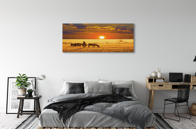 Obrazy na plátně Zebra západ mraky