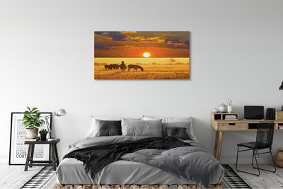 Obrazy na plátně Zebra západ mraky