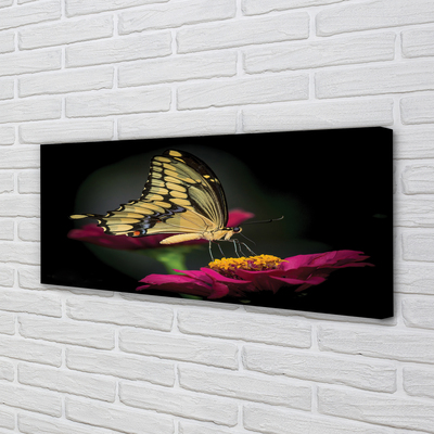 Obrazy na plátně Motýl na květině