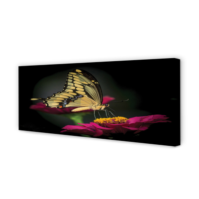 Obrazy na plátně Motýl na květině