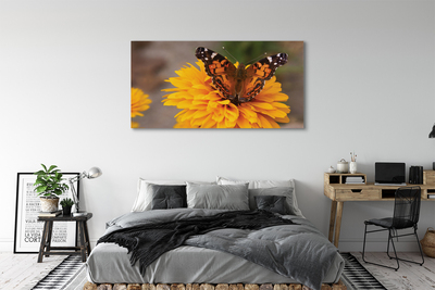 Obrazy na plátně Barevný motýl květina