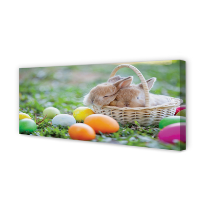 Obrazy na plátně králíci vejce