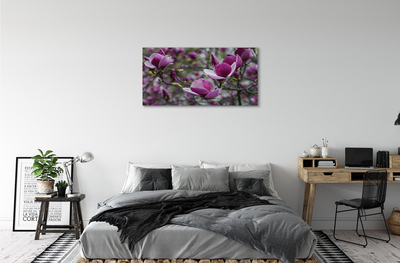 Obrazy na plátně fialové magnolie