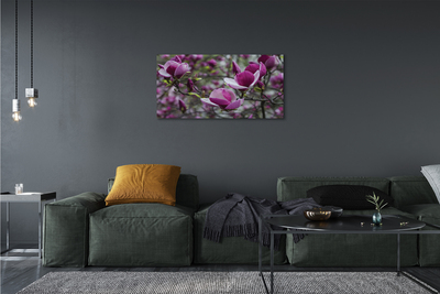 Obrazy na plátně fialové magnolie