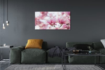 Obrazy na plátně magnolie strom