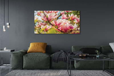 Obrazy na plátně růžová magnolie