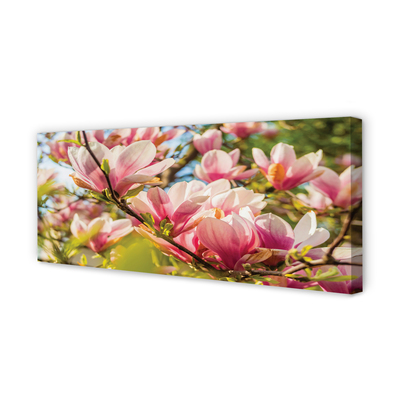 Obrazy na plátně růžová magnolie
