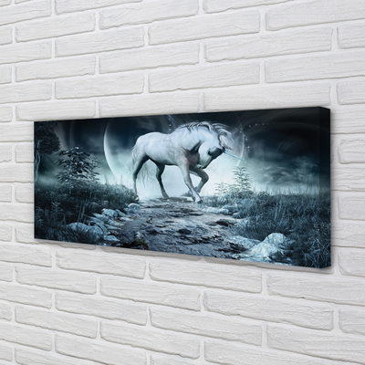 Obrazy na plátně Forest Unicorn moon