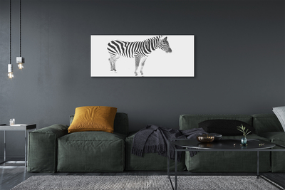 Obrazy na plátně malované zebra