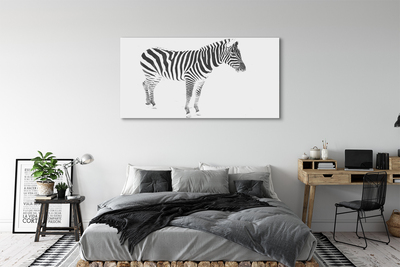 Obrazy na plátně malované zebra