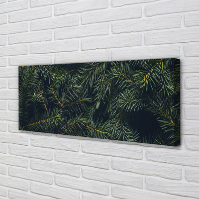 Obrazy na plátně Vánoční strom větvičky