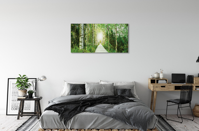 Obrazy na plátně Bříza lesní cesta