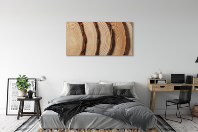 Obrazy na plátně plátky obilí dřeva