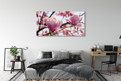 Obrazy na plátně magnolie strom