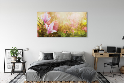 Obrazy na plátně Magnolie strom slunce