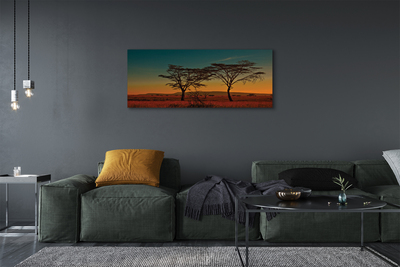Obrazy na plátně oblohy stromu
