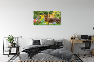 Obrazy na plátně Králík vejce louka