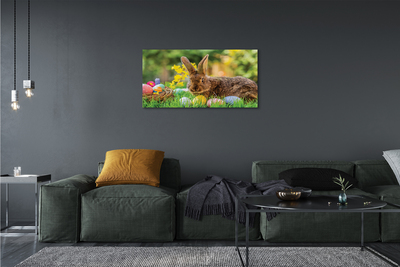 Obrazy na plátně Králík vejce louka