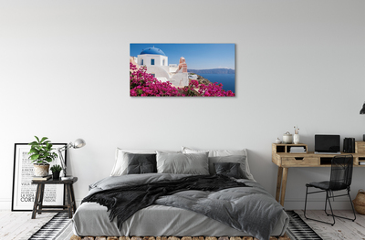 Obrazy na plátně Řecko květiny mořské stavby