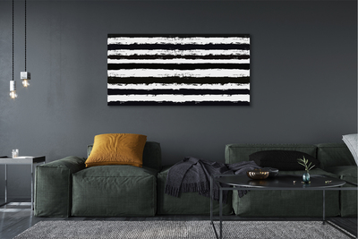 Obrazy na plátně Nepravidelné pruhy zebra