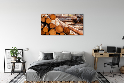 Obrazy na plátně Dřevěné kuličky