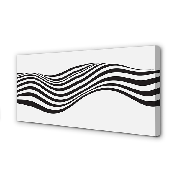 Obrazy na plátně Zebra pruhy vlna