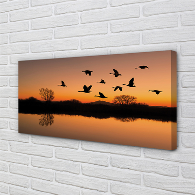 Obrazy na plátně Létající ptáky sunset