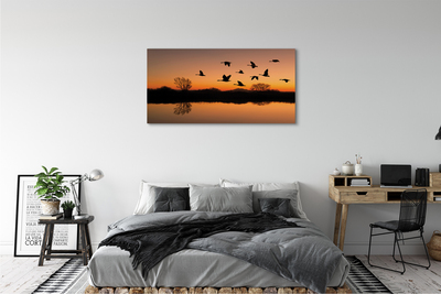 Obrazy na plátně Létající ptáky sunset