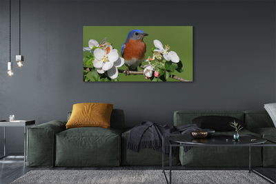 Obrazy na plátně Květiny barevné papoušek