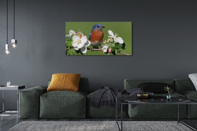 Obrazy na plátně Květiny barevné papoušek