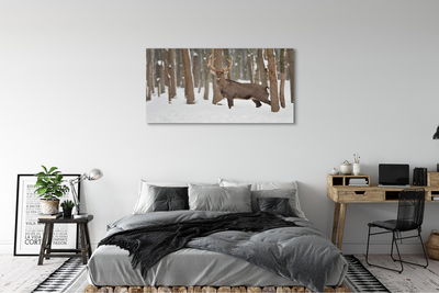Obrazy na plátně Jelen zimní les