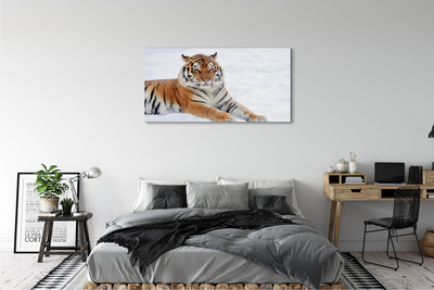 Obrazy na plátně Tiger winter