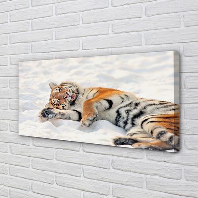Obrazy na plátně Tiger winter
