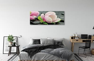 Obrazy na plátně Magnolia kameny