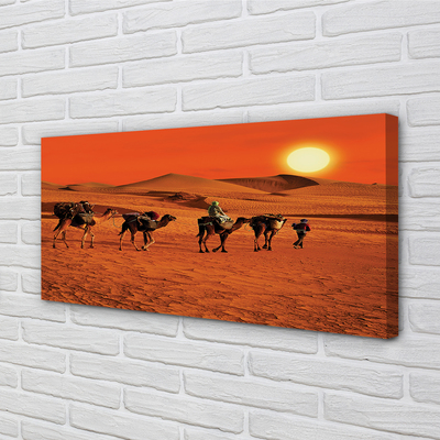 Obrazy na plátně Velbloudi lidí pouštní slunce nebe