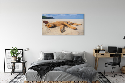 Obrazy na plátně Ležící pes pláž