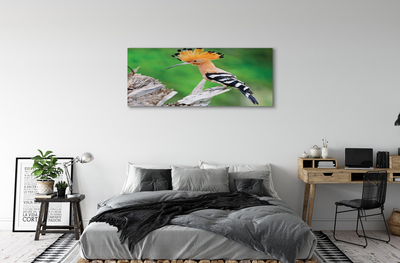 Obrazy na plátně Strom barevný papoušek