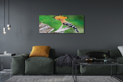 Obrazy na plátně Strom barevný papoušek