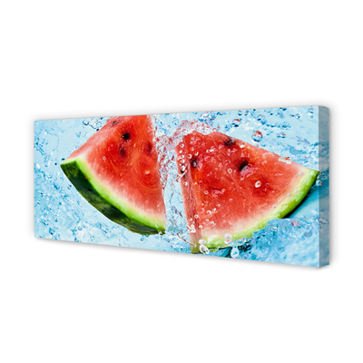 Obrazy na plátně meloun voda