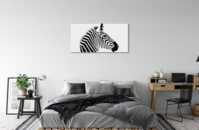 Obrazy na plátně Ilustrace zebra