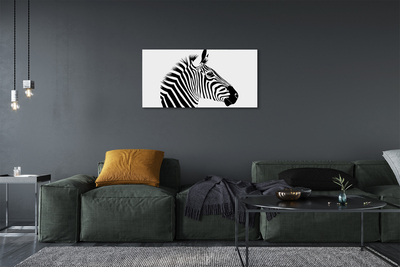 Obrazy na plátně Ilustrace zebra