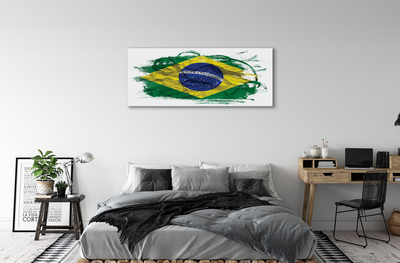 Obrazy na plátně brazilská vlajka