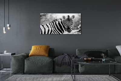 Obrazy na plátně retro zebra