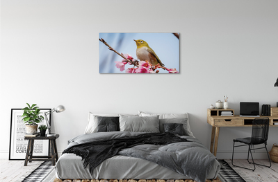 Obrazy na plátně Pták na větvi