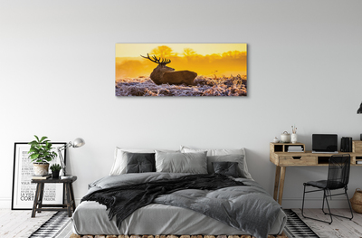 Obrazy na plátně Jelen zimní slunce