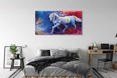 Obrazy na plátně Kůň