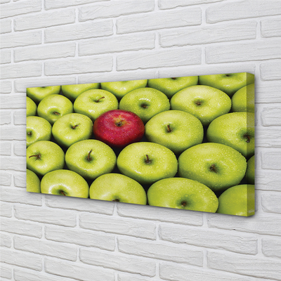 Obrazy na plátně Zelená a červená jablka