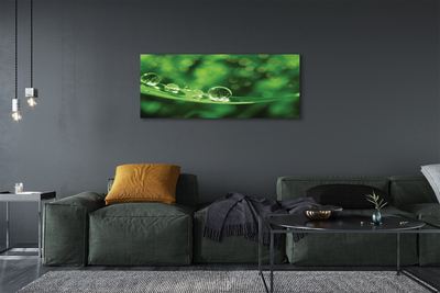 Obrazy na plátně Vodní kapky makro